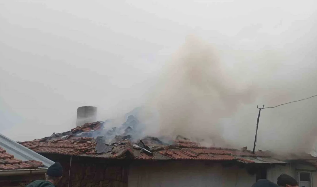 Sındırgı ilçesine bağlı Umurlar Kırsal Mahallesi’nde bitişik nizamda bulunan iki