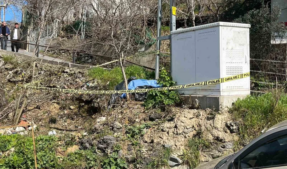 İstanbul Beykoz’da yokuştan inerken kontrolden çıkan motosikletin elektrik direğine çarpması