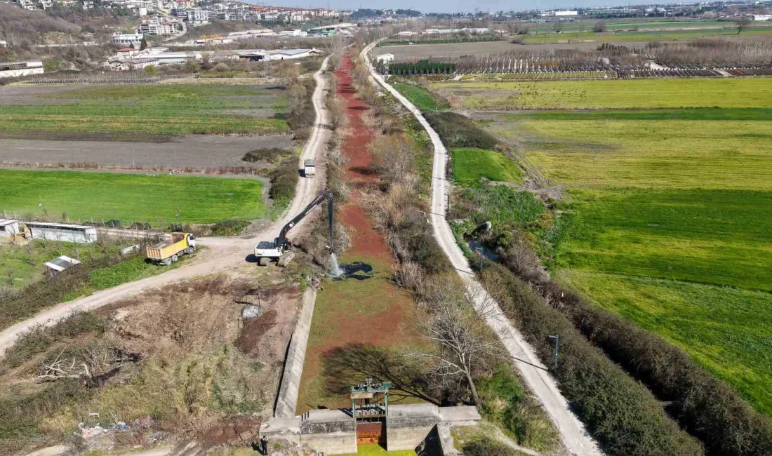 Çark Deresi’nde 5 kilometrelik hat temizleniyor - BüyükşehirARENA