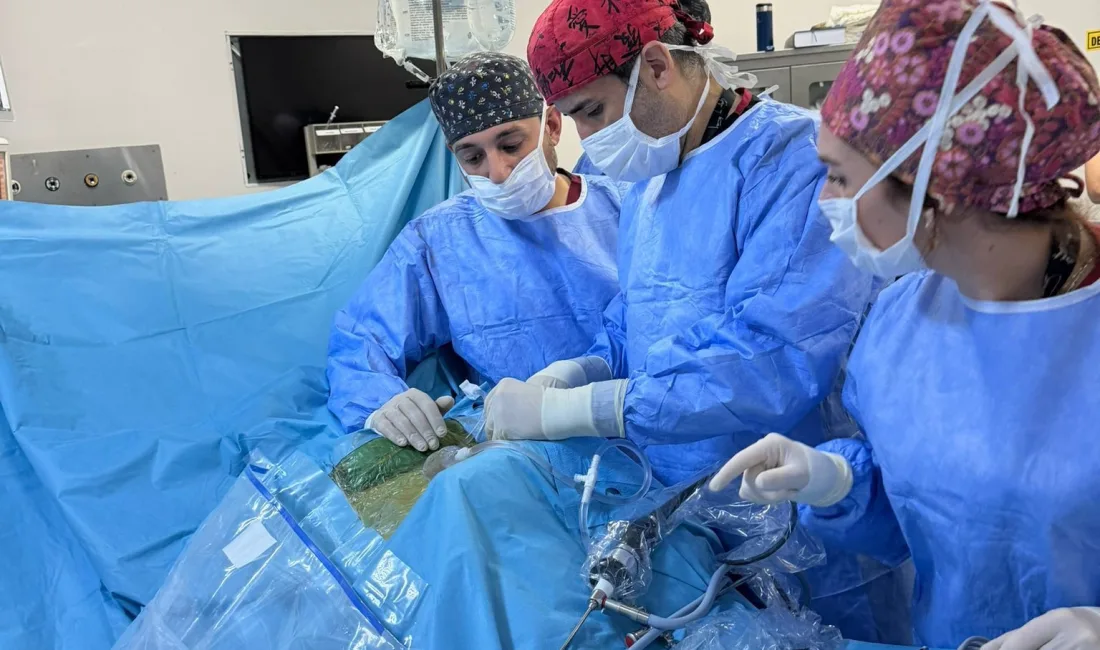 Balıkesir Üniversitesi Tıp Fakültesi Beyin ve Sinir Cerrahisi Anabilim Dalı