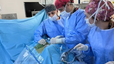 Balıkesir Üniversitesi Tıp Fakültesi Beyin ve Sinir Cerrahisi Anabilim Dalı