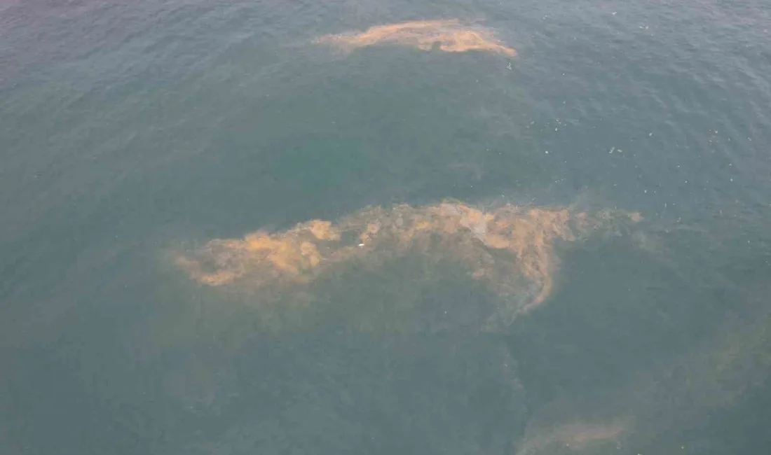 Avcılar Marmara Denizi kıyılarında denizdeki kirlilik ve yer yer renk