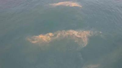 Avcılar Marmara Denizi kıyılarında denizdeki kirlilik ve yer yer renk