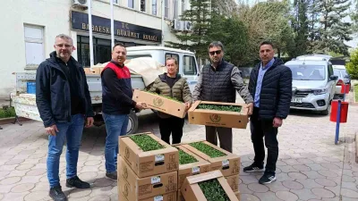 Kırklareli’nin Babaeski ilçesinde, tarım arazilerinin daha etkin kullanılması amacıyla yürütülen