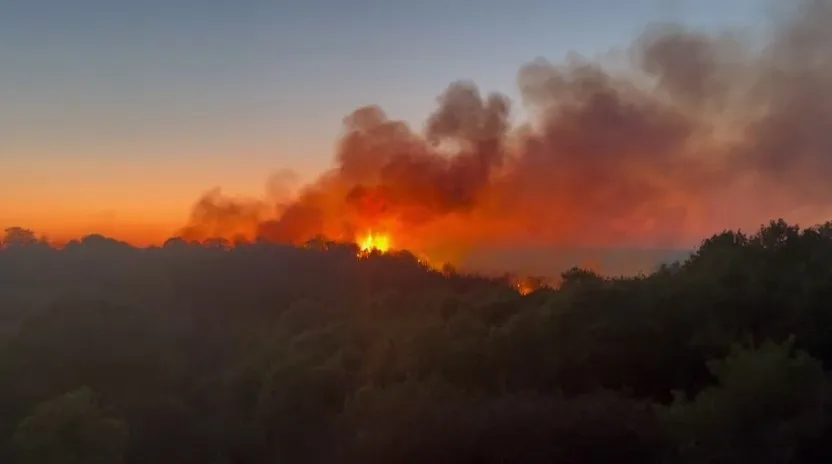 İstanbul Beykoz’da gündüz saatlerinde çıkan ve geniş bir alana yayılan