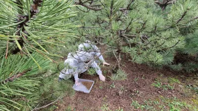 Bursa Orman Bölge Müdürlüğü, doğayla uyumlu ve sürdürülebilir biyolojik mücadele