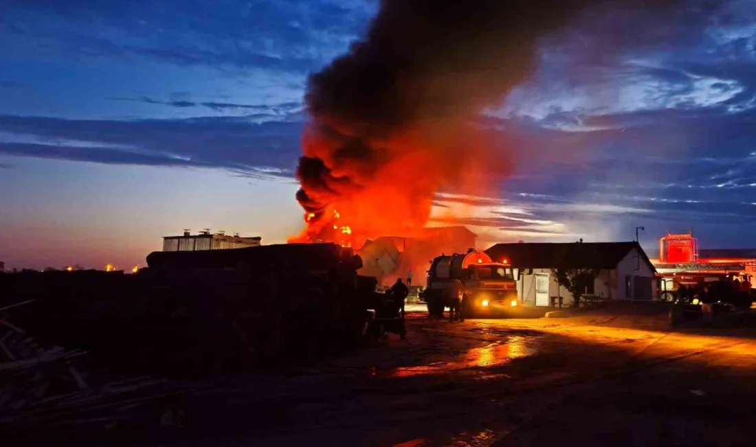 Edirne’nin İpsala ilçesine bağlı Paşaköy’de bir kereste fabrikasında yangın çıktı.