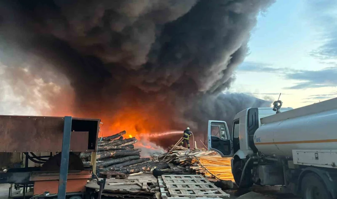 Edirne’nin İpsala ilçesine bağlı Paşaköy’de bir kereste fabrikasında yağ tankında