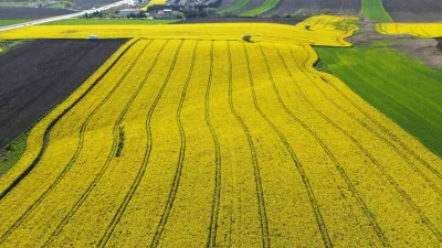 Türkiye’nin önemli tarım merkezlerinden biri olan Kırklareli’nde, baharın gelişiyle birlikte
