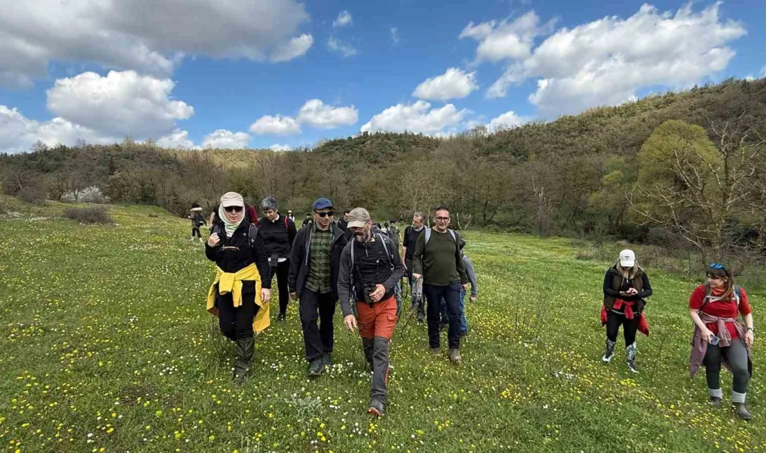 Gebze’de Ballıkayalar Tabiat Parkı’nda doğa tutkunları ve araştırmacılar, yaklaşık 10