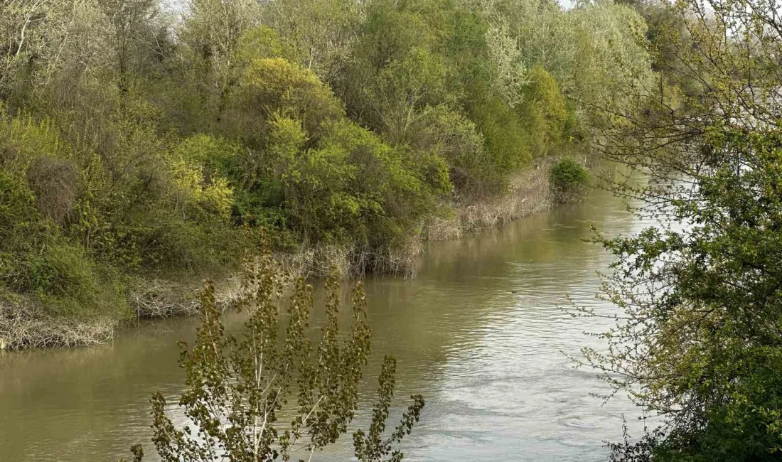Sakarya’nın Erenler ilçesinde balık tuttuğu esnada dengesini kaybederek Sakarya Nehri’ne