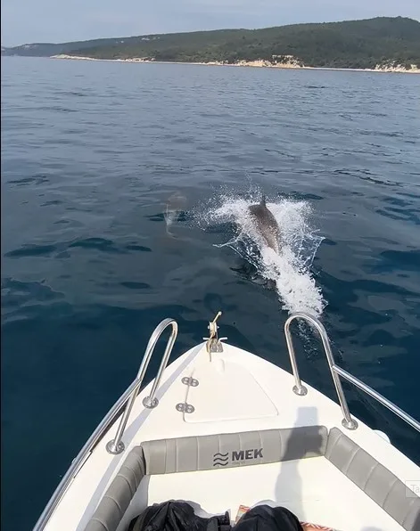 Edirne’nin Keşan ilçesine bağlı Gökçetepe sahilinden Saros Körfezi açıklarına tekne