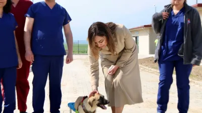 Tekirdağ Büyükşehir Belediyesi tarafından Süleymanpaşa ilçesinde yapımı tamamlanan Sahipsiz Hayvan