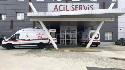 Tekirdağ’ın Muratlı ilçesinde arıların saldırısına uğrayan yaşlı çift hastanelik oldu.