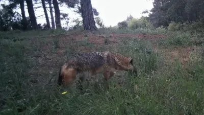 Tekirdağ’ın doğal yaşam açısından en zengin bölgelerinden biri olan Ganos