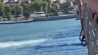 Haliç Köprüsü’nde bir grup genç, demirlere çıkarak denize atladı. O