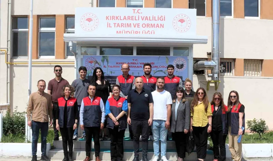 Tarım Arazilerinin Kullanımının Etkinleştirilmesi Projesi kapsamında Kırklareli’nde sorgum-sudanotu melezi üretiminin