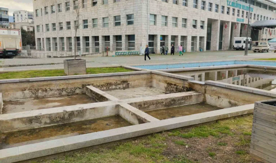 Nilüfer Belediyesi, uzun süredir kullanılmayan süs havuzlarını çiçek ve bitkilerle