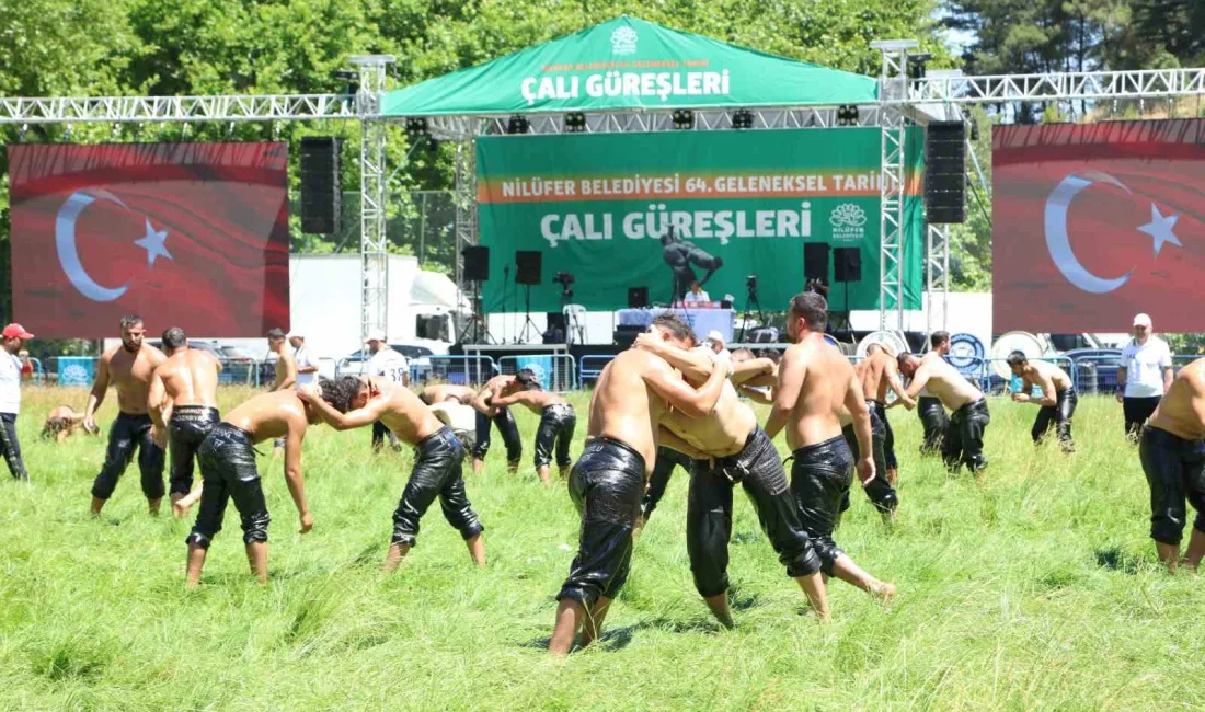 Bursa’da bu yıl 64’üncüsü düzenlenen Geleneksel Çalı Güreşleri, kıyasıya mücadelelere