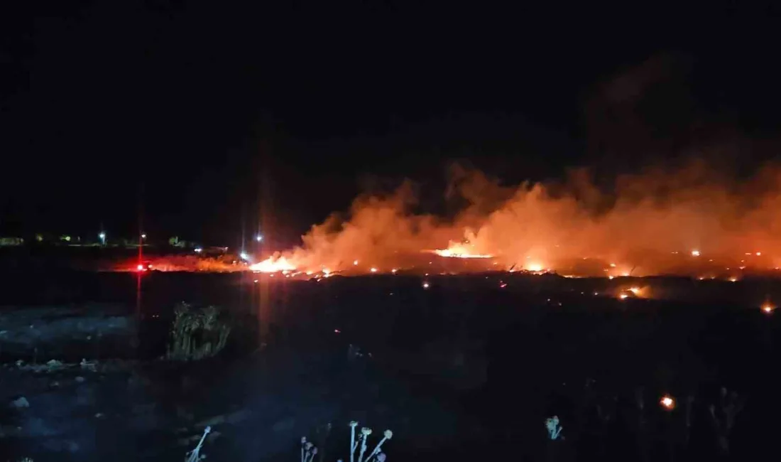 Balıkesir’in Burhaniye ilçesine bağlı Şarköy Mahallesi’ndeki otluk alanda örtü yangını