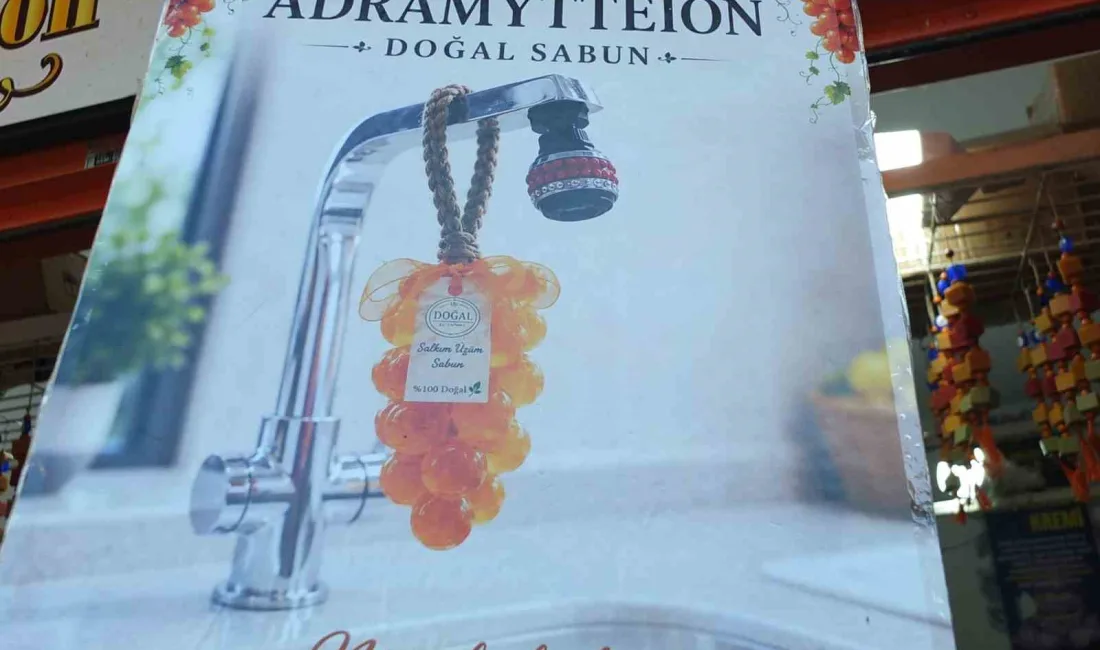 Türkiye’nin önemli zeytin üretim merkezlerinden Balıkesir’in Burhaniye ilçesinde üretilen zeytinyağı