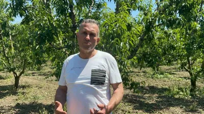 Türkiye’nin şeftali ve nektarin üretiminde önde gelen merkezlerinden olan Bursa’nın