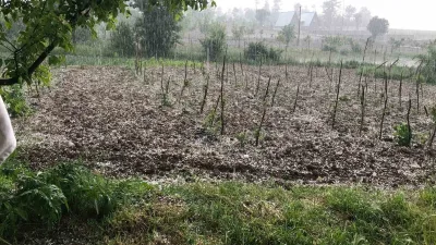 Bursa’nın Keles ilçesinde etkili olan dolu yağışı, tarım arazilerinde zarara