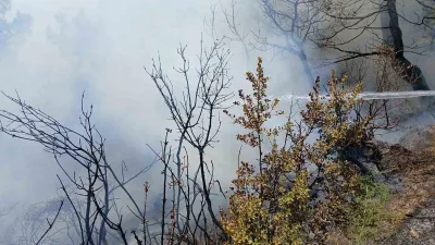 Bursa’nın Gemlik ilçesinde piknik alanı yakınlarında çıkan yangın, ekiplerin zamanında
