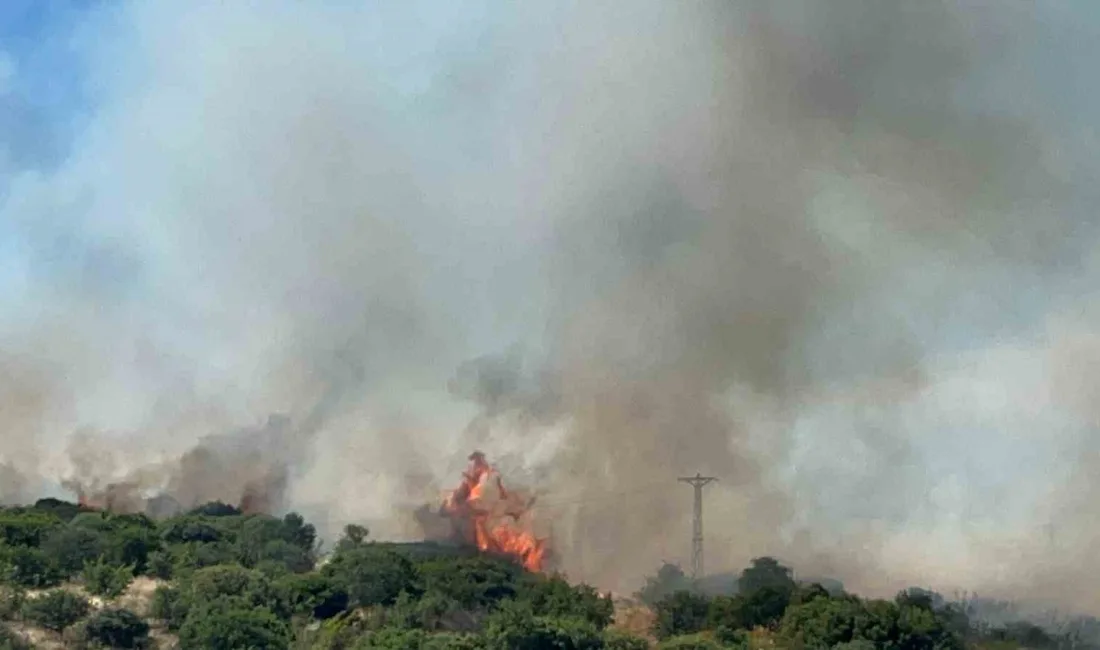 Çanakkale’de bozuk orman sahasında çıkan yangına Orman Bölge Müdürlüğü ekipleri
