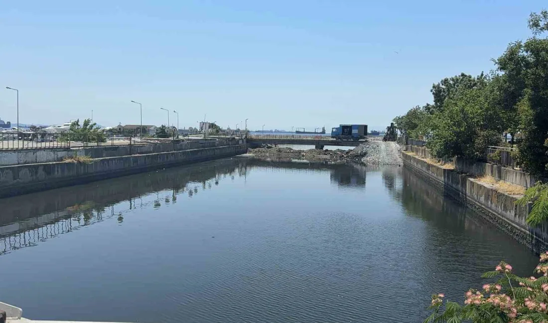 Bakırköy Çırpıcı Deresi’nde yaşanan kirlilik ve toplu balık ölümlerinin ardından