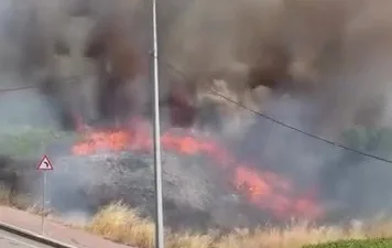 Kocaeli’nin Darıca ilçesinde boş arazide çıkan yangın paniğe sebep oldu.