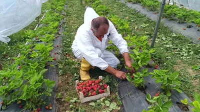 Bilecik’te destek destekli bir projeye sonrası aldığı 12 bin adet