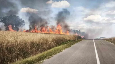 Edirne’nin Uzunköprü ilçesi Kırklareli il sınırında bir üzüm bağında çıkan