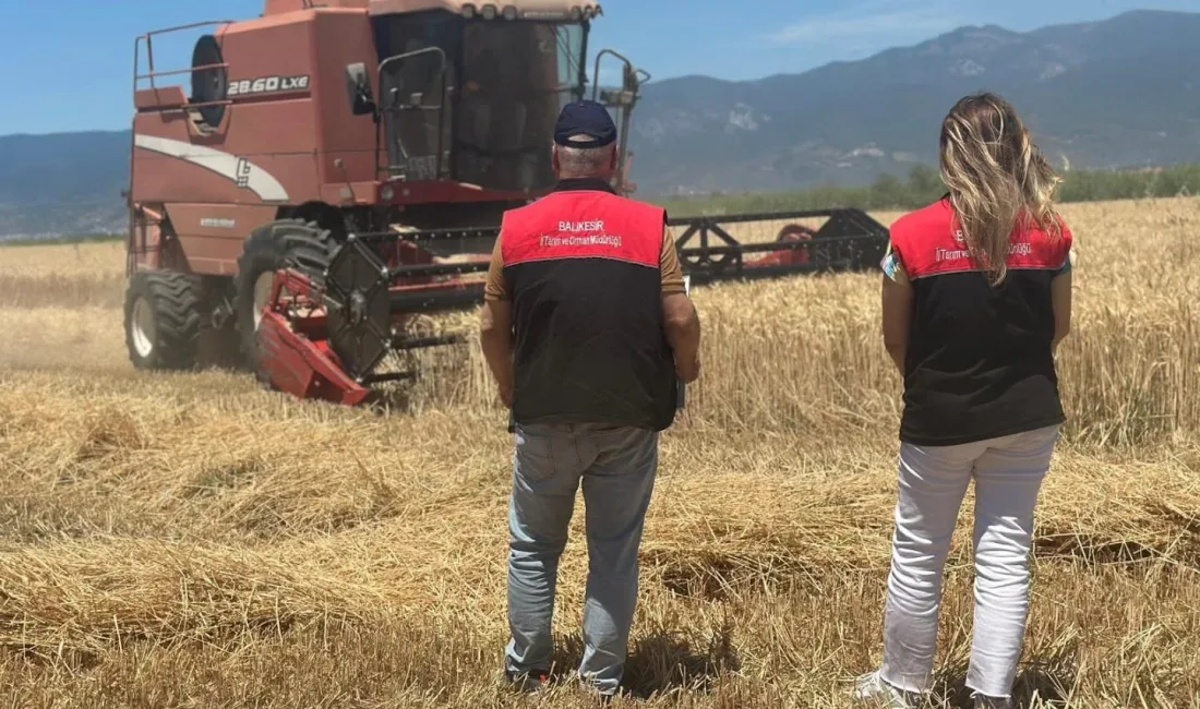Balıkesir’in Edremit ilçesinde stratejik tarım ürünlerinden buğdayın hasat mevsimi resmen