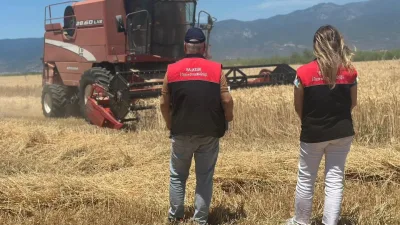 Balıkesir’in Edremit ilçesinde stratejik tarım ürünlerinden buğdayın hasat mevsimi resmen