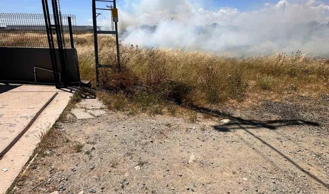 Tekirdağ’ın Kapaklı ilçesinde bir kuşun elektrik tellerine çarpması sonucu otluk
