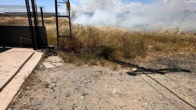 Tekirdağ’ın Kapaklı ilçesinde bir kuşun elektrik tellerine çarpması sonucu otluk