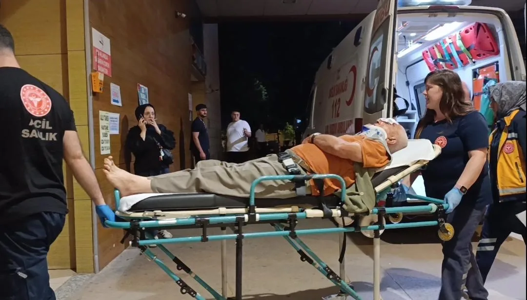 Bursa’nın İnegöl ilçesinde erik toplamak için çıktığı ağaçtan düşen yaşlı