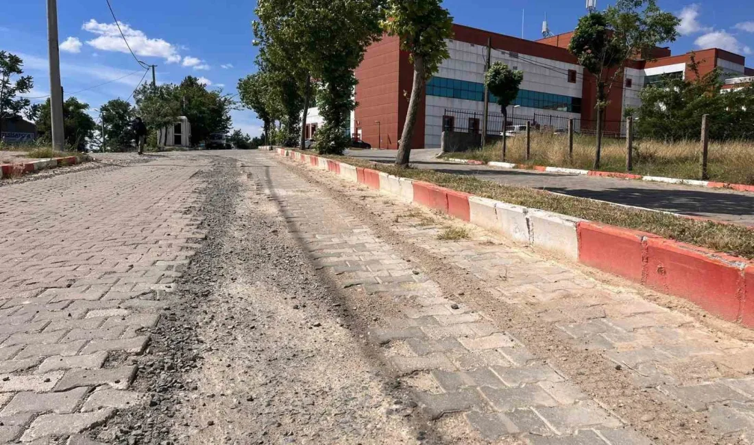 Tekirdağ’da Hayrabolu Devlet Hastanesi’nin bakımsız yolu vatandaşların tepkisine neden oluyor.