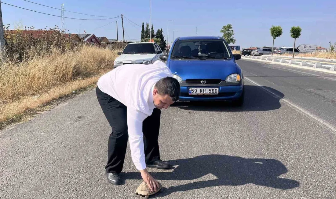 Tekirdağ’ın Hayrabolu ilçesinde bir sürücü, Malkara Caddesi üzerinde fark ettiği