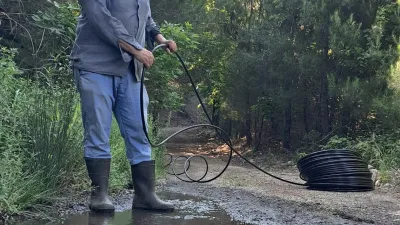 Edremit İlçesinde, 3 yıl önce hayata geçirilen Kazdağı Bal Ormanı