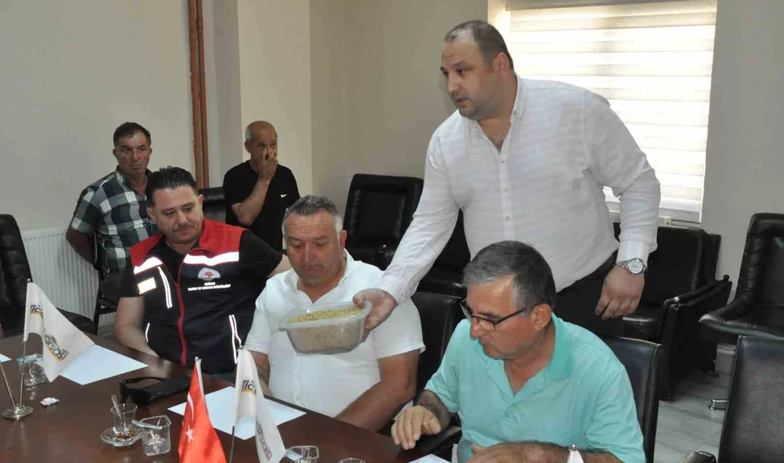 Edirne’nin Keşan ilçesinde hasat edilen yılın ilk arpa ürünün salon