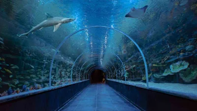 Kocaeli’de 700 milyon liralık yatırımla hayata geçirilen Körfez Aqua Kıtalar