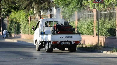 Küçükçekmece’de artan sıcaklıklarla yoğunlaşan sivrisinek, karasinek ve haşereleri etkisiz hale