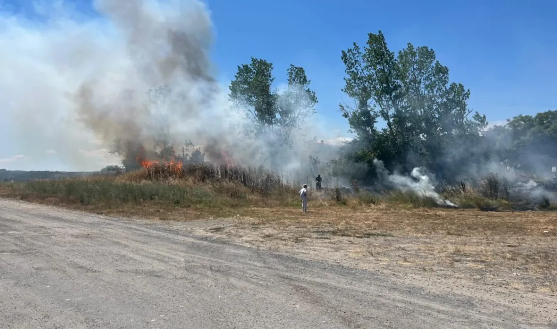 Tekirdağ’ın Muratlı ilçesinde otluk alanda çıkan yangın büyümeden söndürüldü. Muratlı