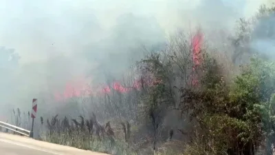 Bursa Karacabey yolu Başköy istikametinde otluk alanda çıkan yangın, rüzgarın