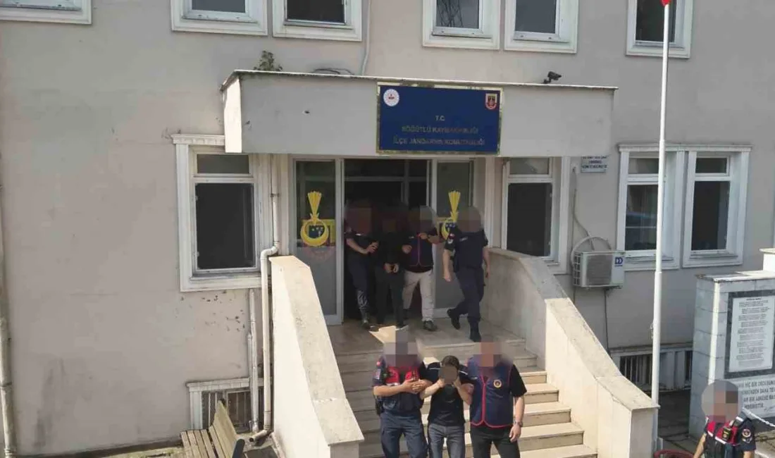 Sakarya merkezli 4 ilde jandarma ekiplerince düzenlenen eş zamanlı operasyonda,