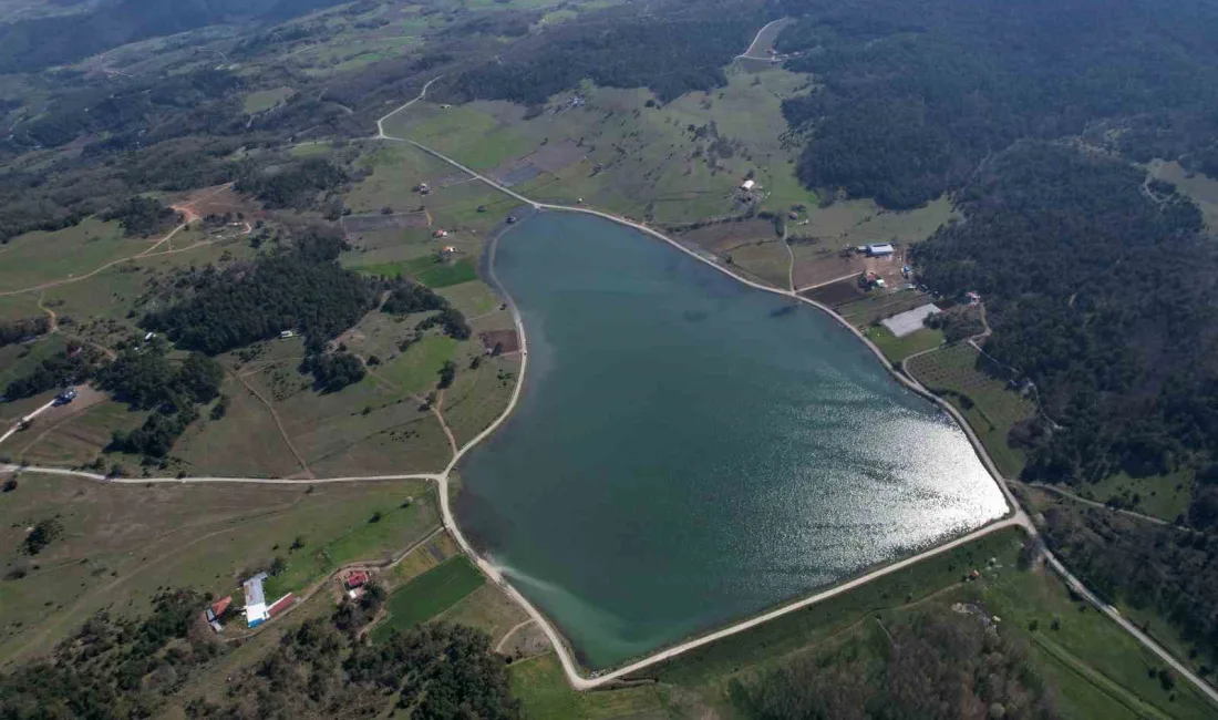 Sakarya’nın Pamukova ilçesinde 780 rakımda bulunan yapay göletli yayla, doğal