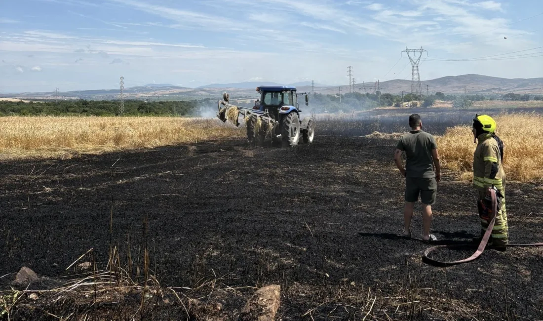 Balıkesir’in Gönen ilçesinde tarım arazisinde çıkan yangında 13 dönümü biçilmemiş