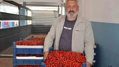 Türkiye’nin en erken kiraz yetişen ikinci ili Bilecik’te geçtiğimiz yıl